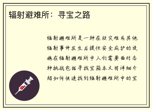 辐射避难所：寻宝之路